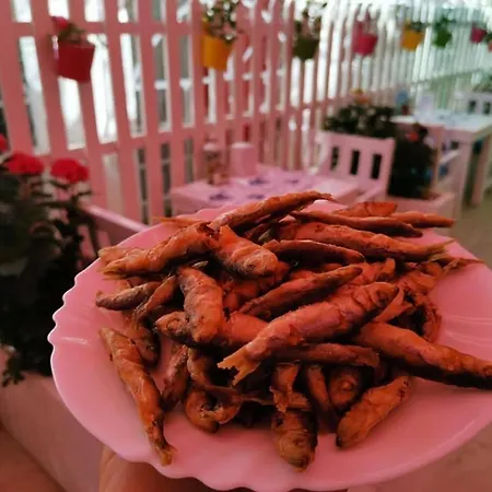 Hotel Familia Fantastiko Kiten (Burgas)