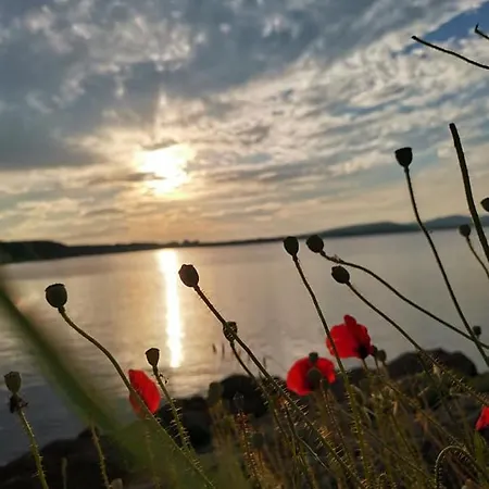 Familia Fantastiko Kiten (Burgas)