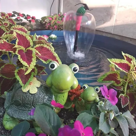 Familia Fantastiko Hotel 2*