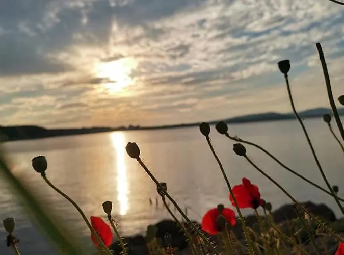 Familia Fantastiko Kiten (Burgas)